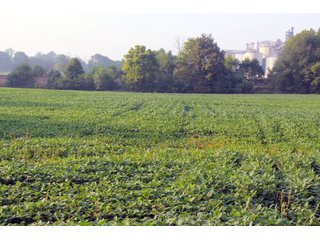 Kosciusko County, Indiana farmland - REAL ESTATE AUCTION - 91+/- ACRES IN 4 TRACTS IN KOSCIUSKO COUNTY, INDIANA